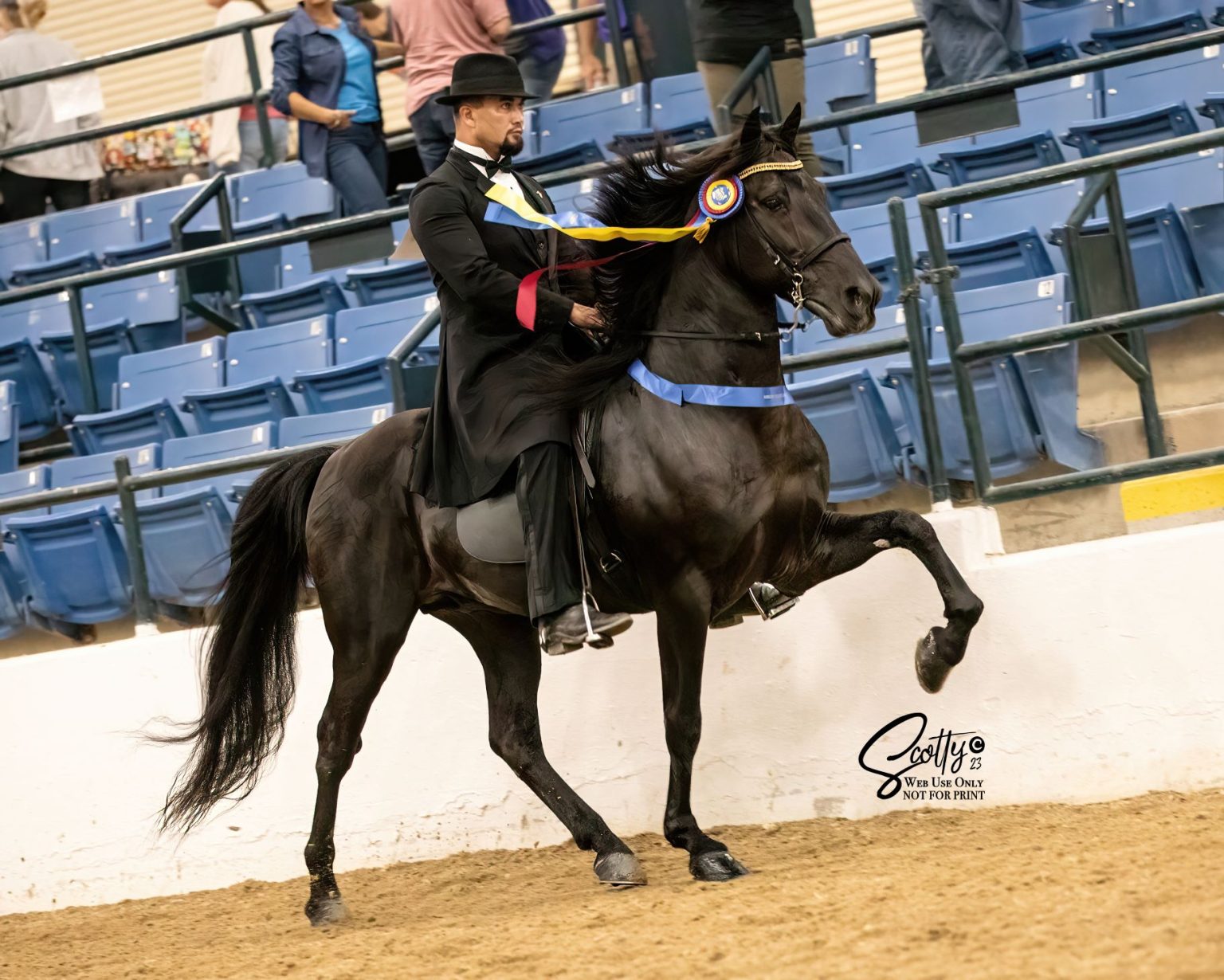 Rocky Mountain Horse Association 2023 International Grand Championships