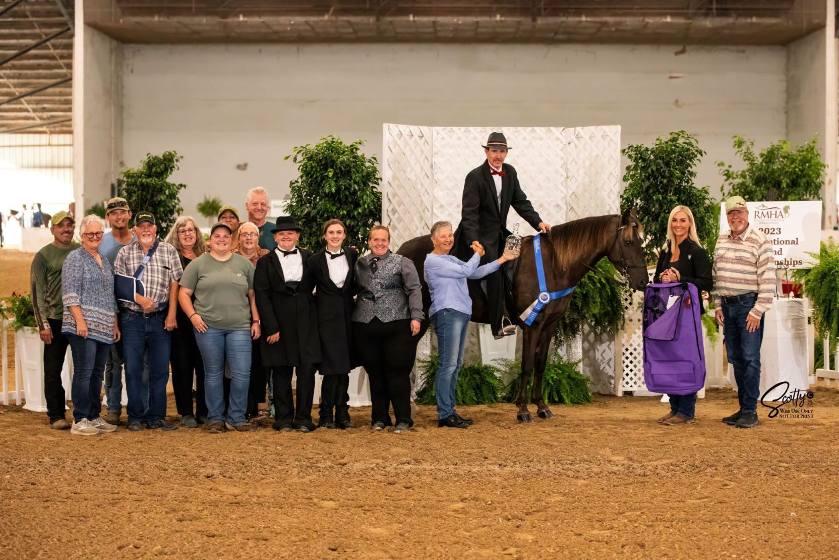 Rocky Mountain Horse Association 2023 International Grand Championships